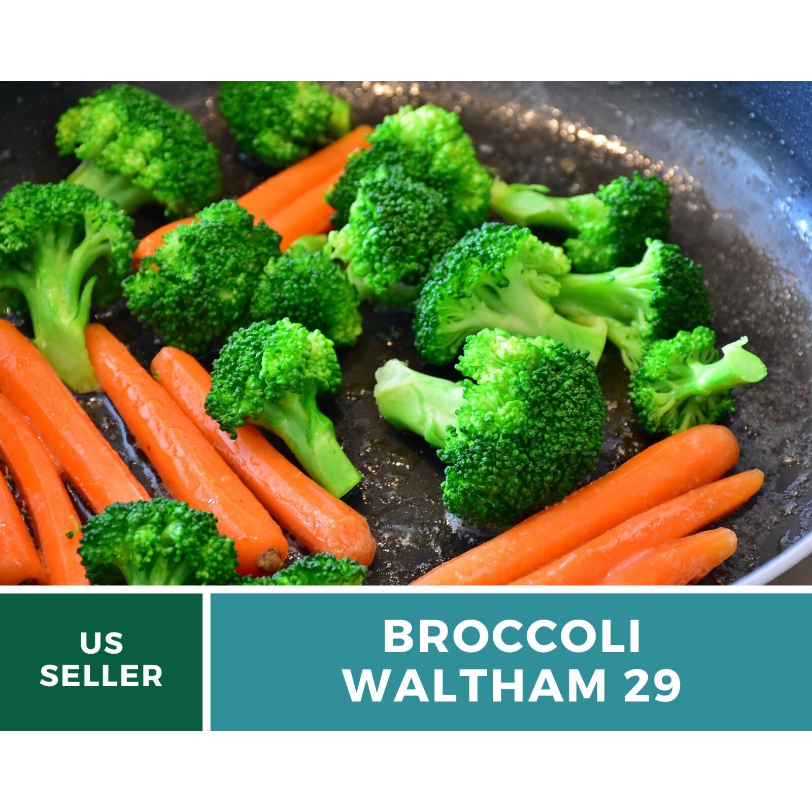 Broccoli, Waltham 29 – 100 Seeds, Heirloom Vegetable (Brassica oleracea)