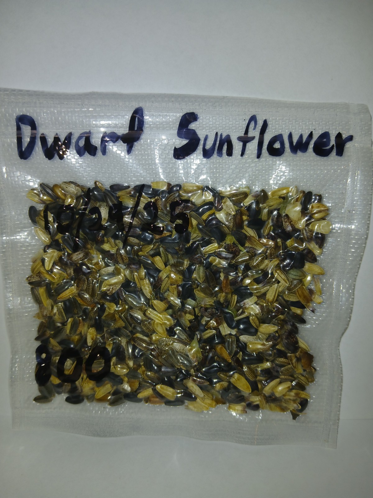 Dwarf Sunflower Seeds (400)