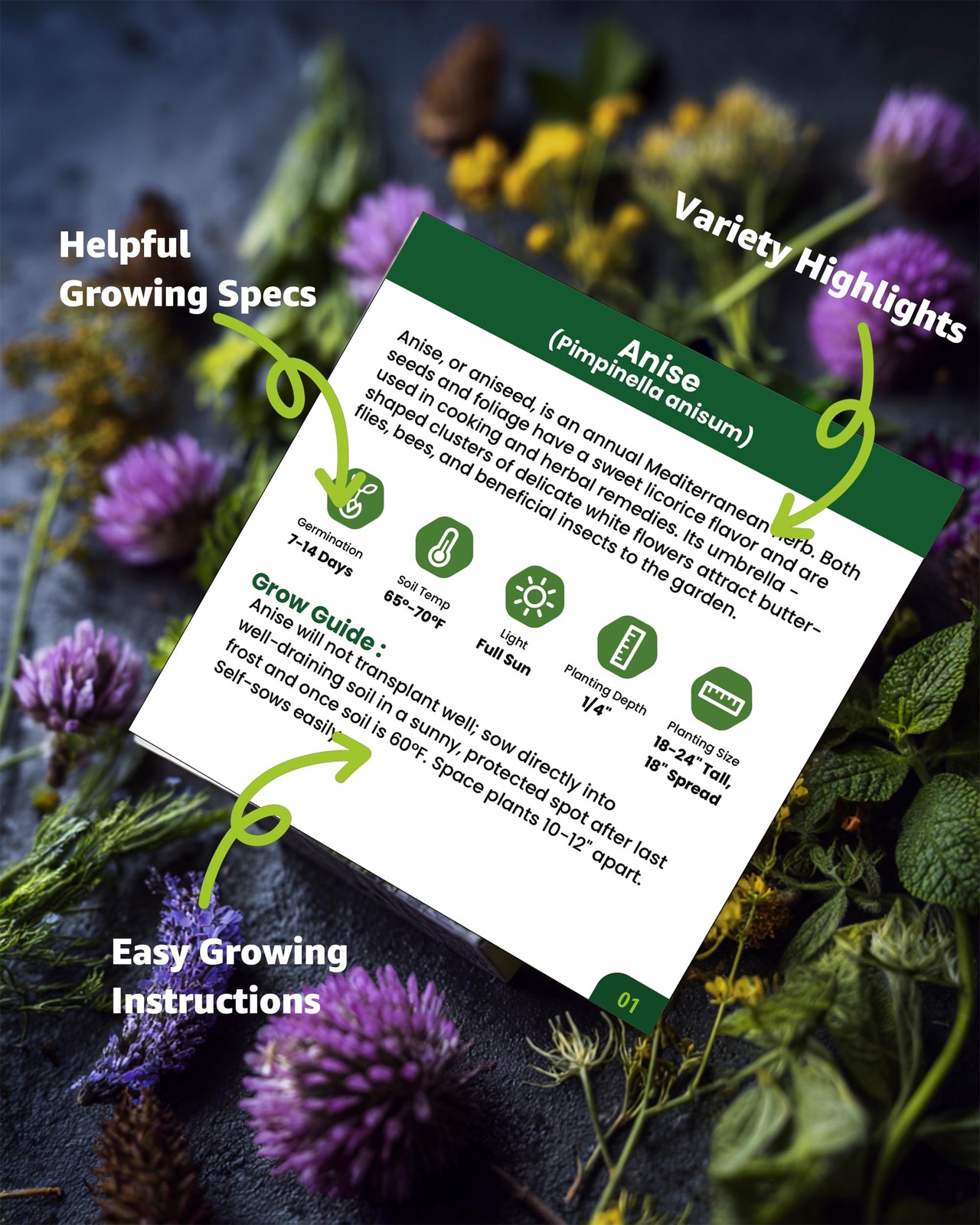 Medicinal & Tea Herb Seeds for Planting – 35 Non-GMO Variety Pack for Indoor/…
