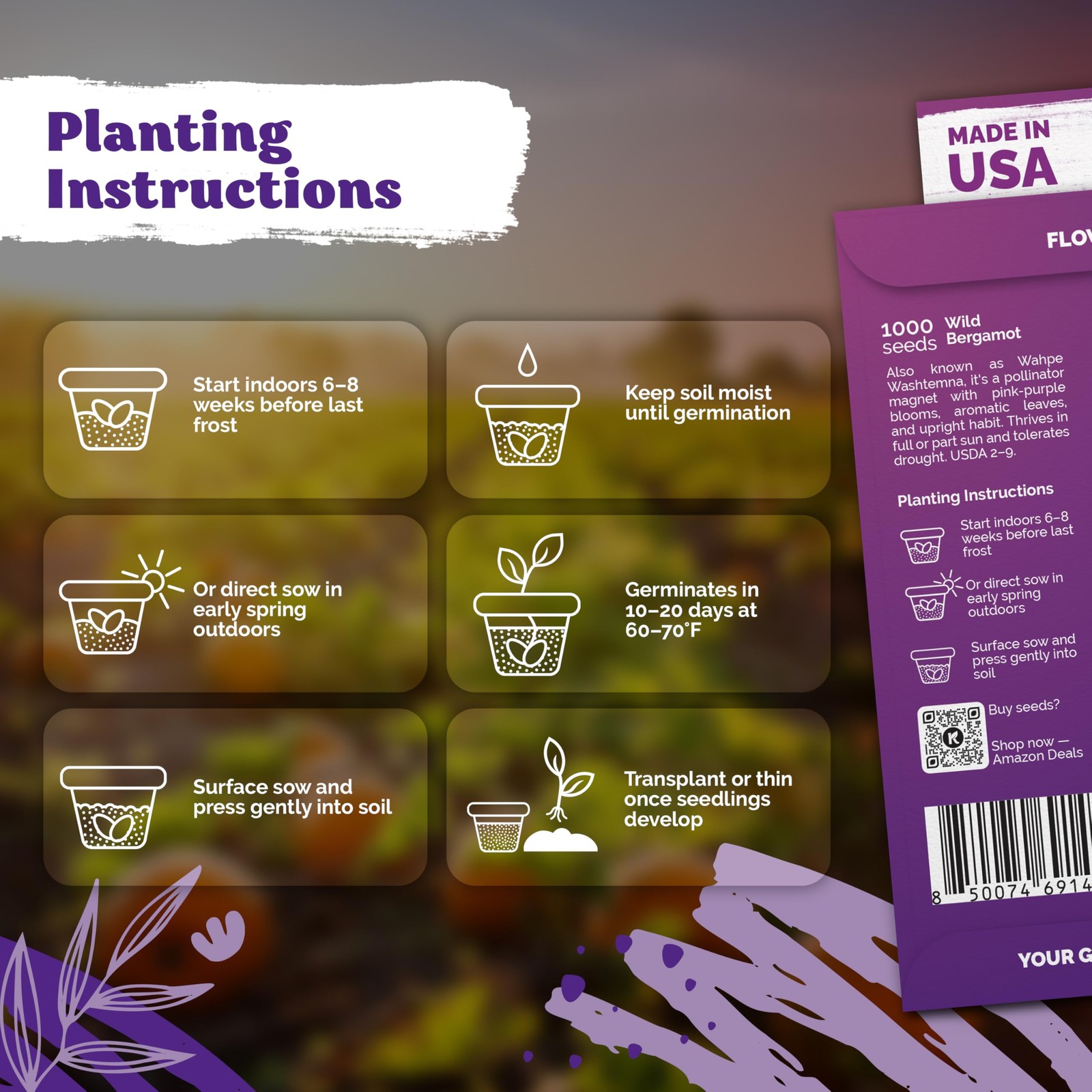 KVITER 2,000 Wild Bergamot Seeds for Planting (Monarda fistulosa), 2 Pack
