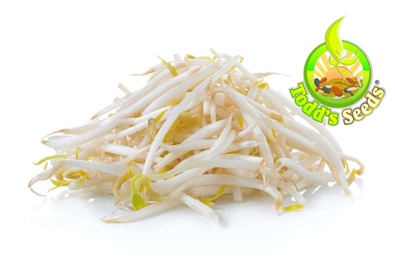 ® Sprouting Seeds Mung Bean, Chinese Bean Sprouts, 5 Pounds