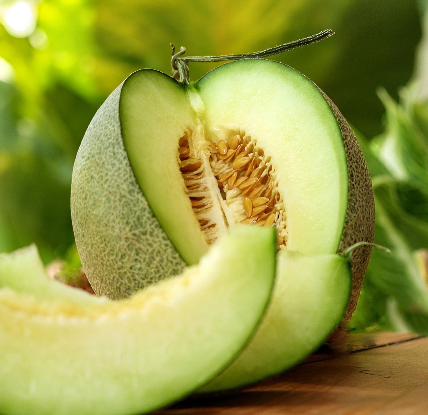 40 Heirloom Rocky Ford Melon Seeds – Green Flesh, Insanely Sweet, Mildly Tart!