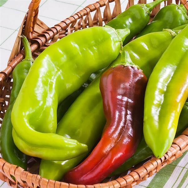 100+ BIG JIM PEPPER SEEDS — HUGE — HOT — HEIRLOOM – ORGANIC – NON GMO – FRESH