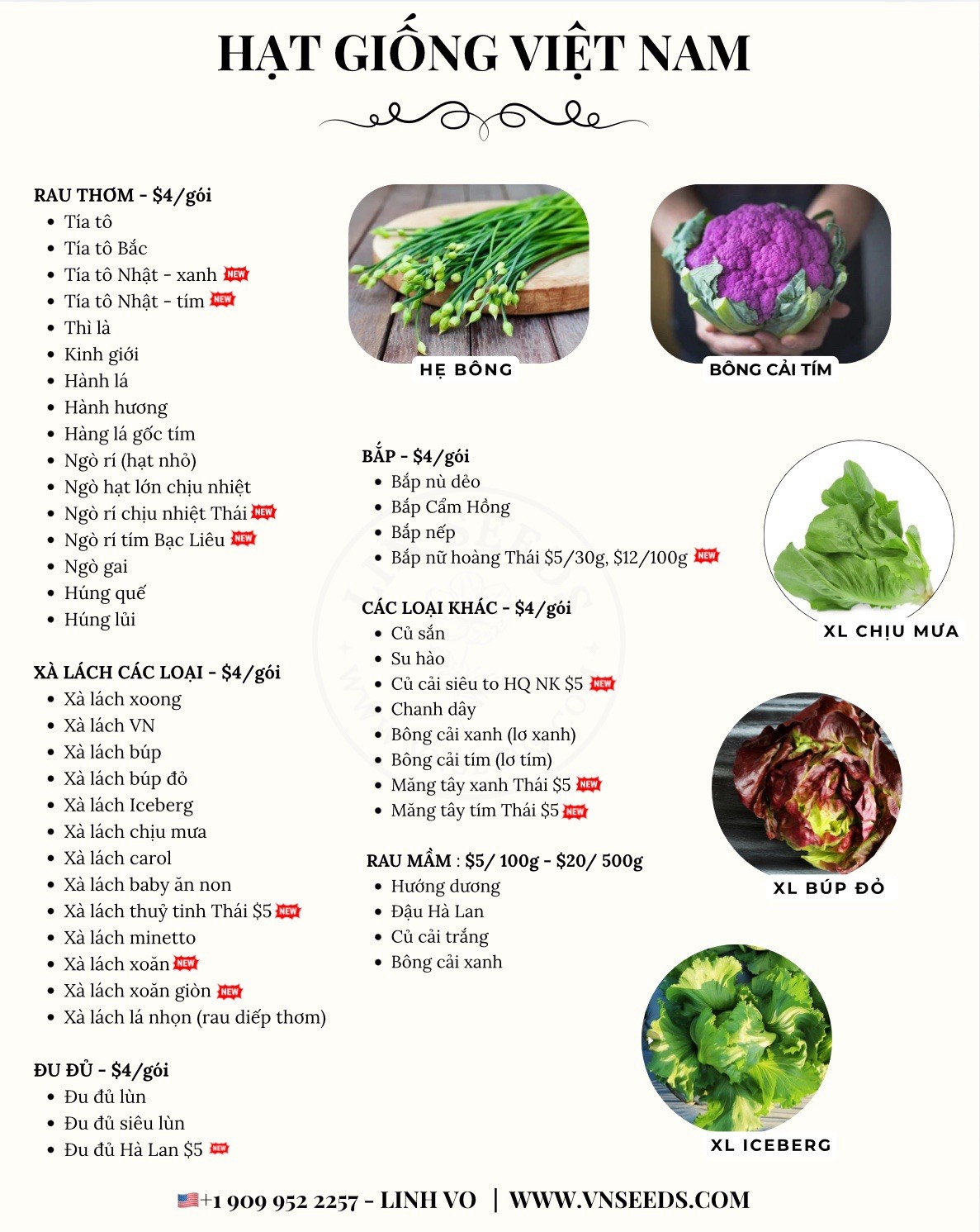 Hat Giong Cai Meo Ha Giang Mustard Seeds – Serrated Leaf – US Seller-Fast Ship