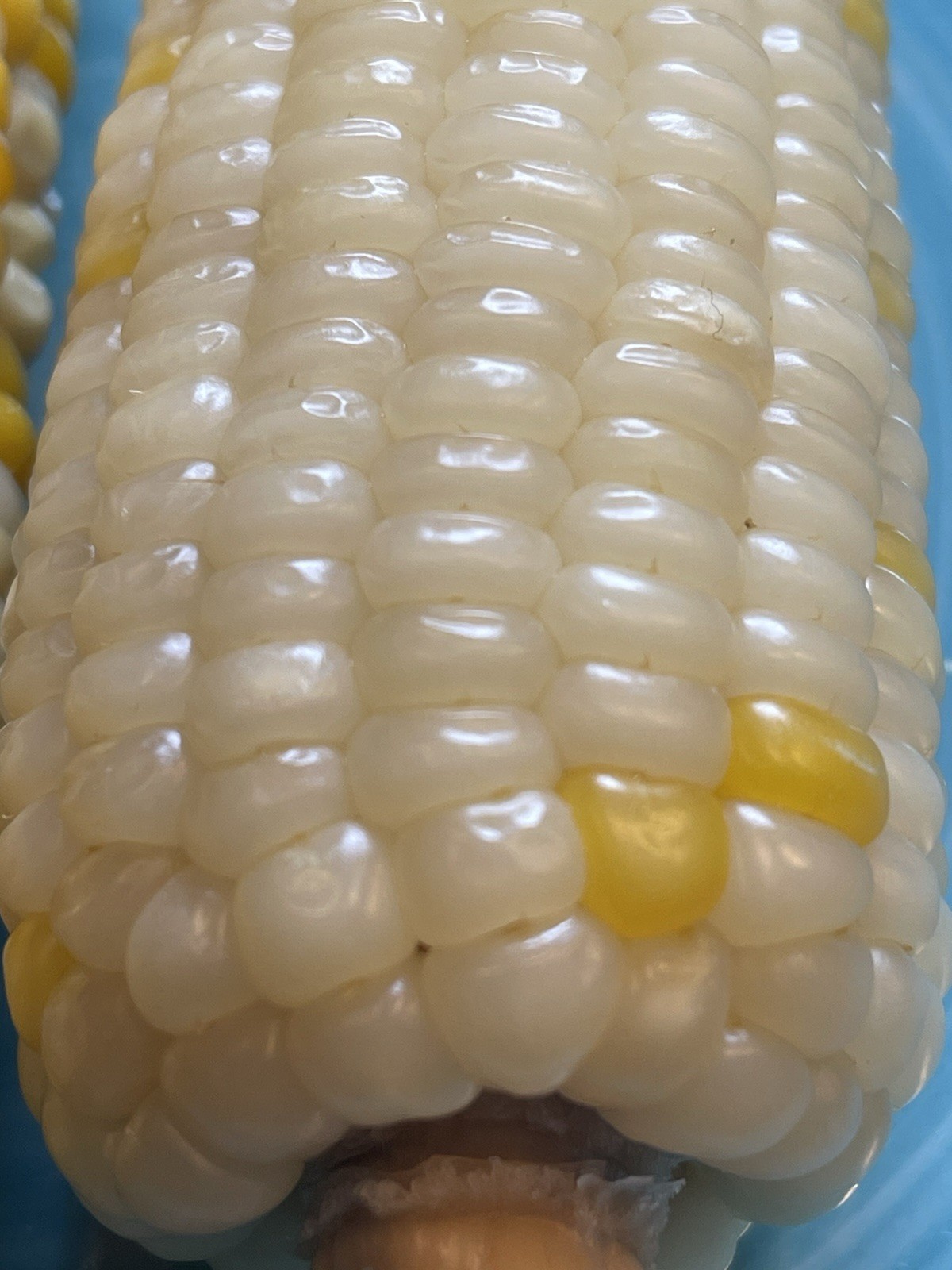 Organic Sweet Sticky Waxy White Glutinous Corn Non-GMO 糯玉米