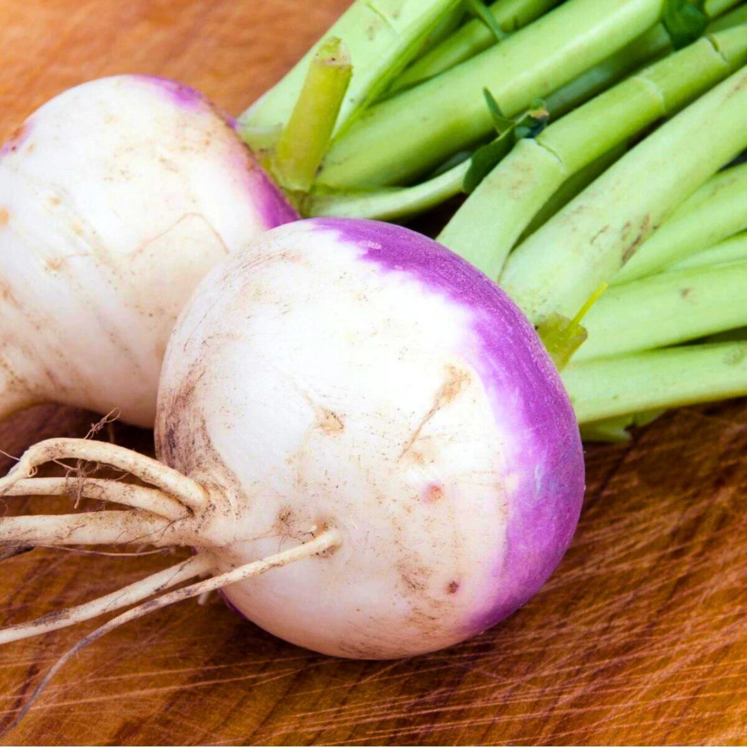 Fresh American Purple Top Rutabaga Seeds | Heirloom Non-GMO | Vegetable Seeds