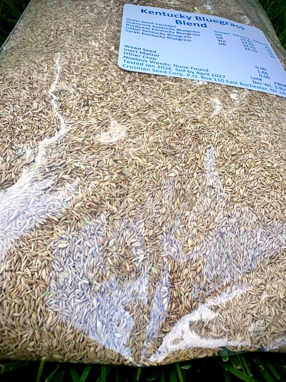 100% Kentucky Bluegrass Grass Seed Blend 3 lb KBG Self-Repairing Cool Season