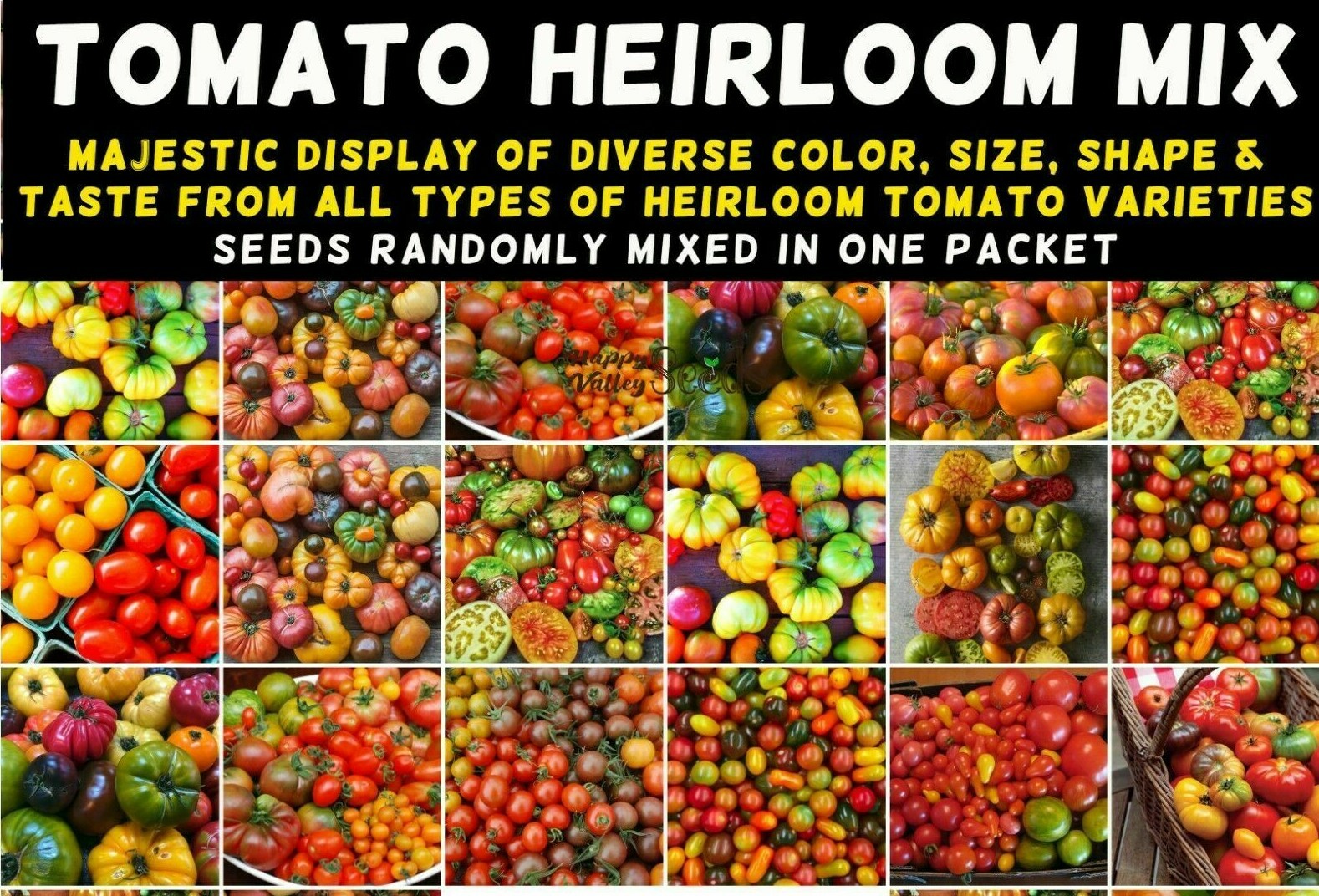 TOMATO Heirloom Mix 40 Seeds ALL TYPES NON-GMO spring summer garden RARE TASTEE!