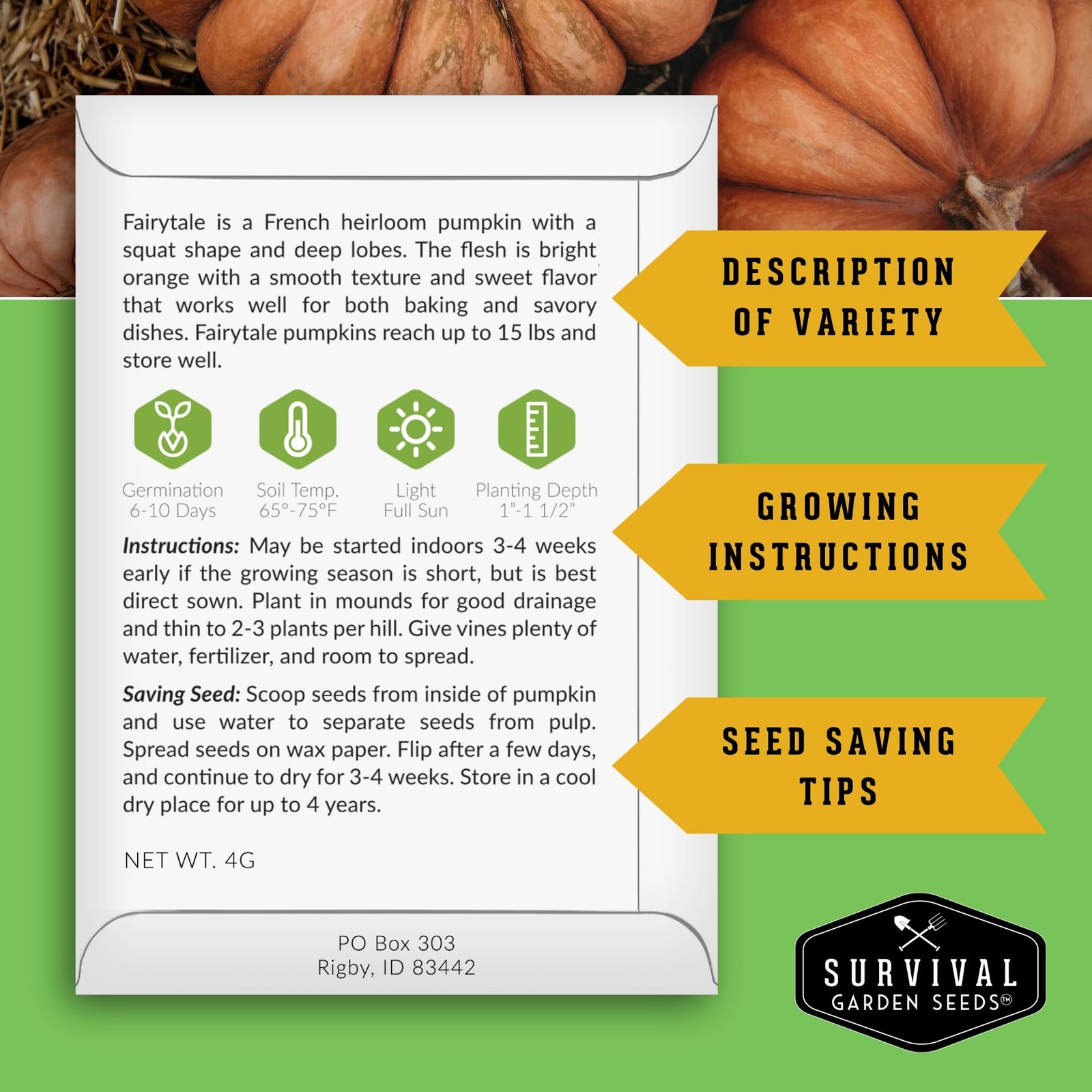 Heirloom Pumpkin Seeds for Planting | Sweet Flavor for Pies, Soups, Décor