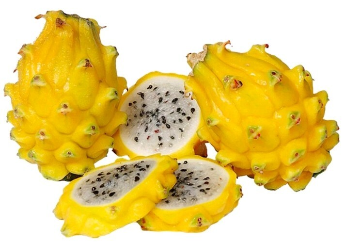 40 Dragon Fruit seeds( 10 Red, 10 purple, 10 Yellow, 10 White) individual packag
