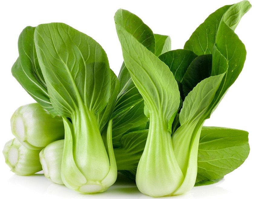 1250 + BABY PAK CHOI Bok Choy  Chinese Cabbage Seeds USA Seller!! FREE SHIPPING!