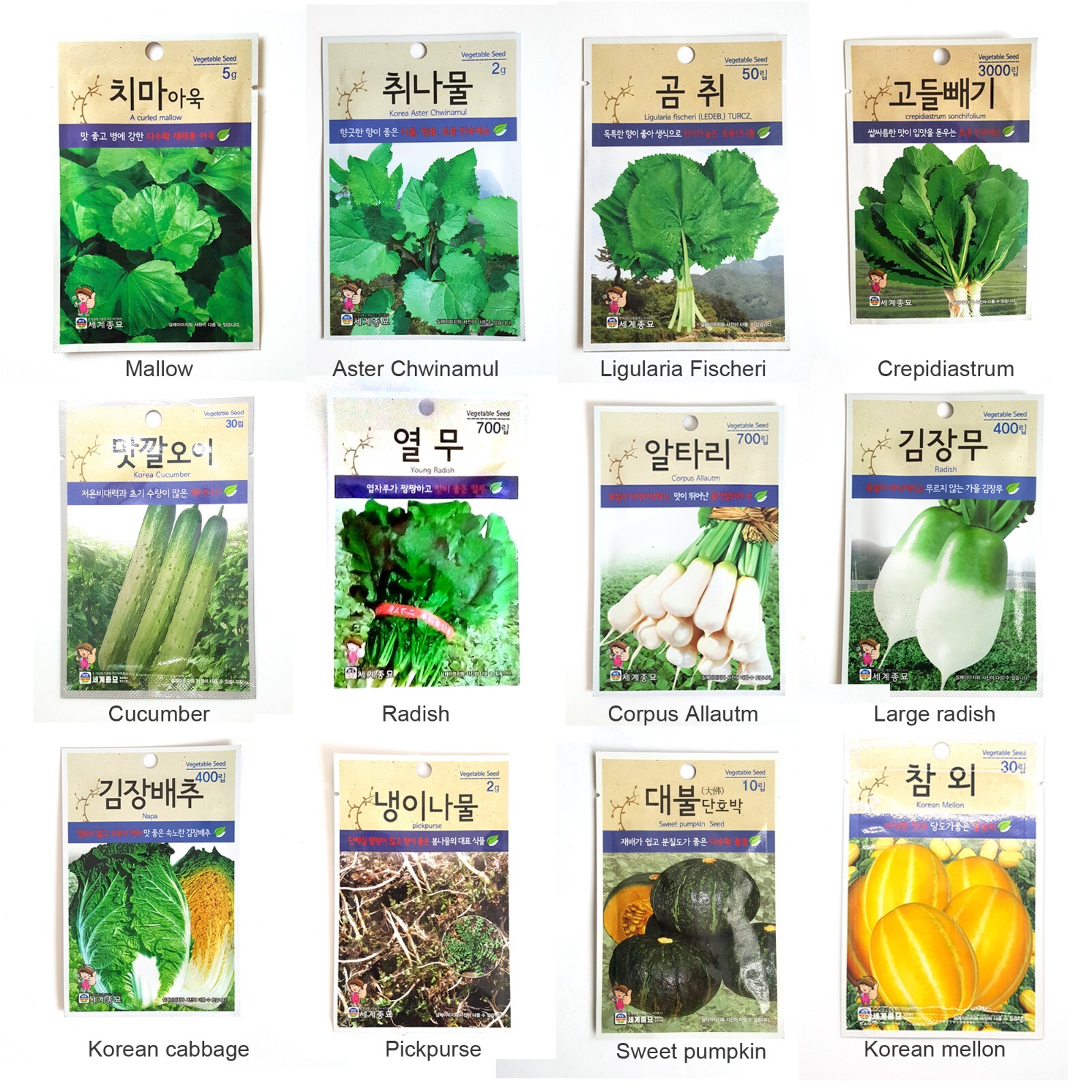 Korean Healthy Vegetable Lettuce, Sesame, Radish, Chives, Cirsium Seed Each Pack