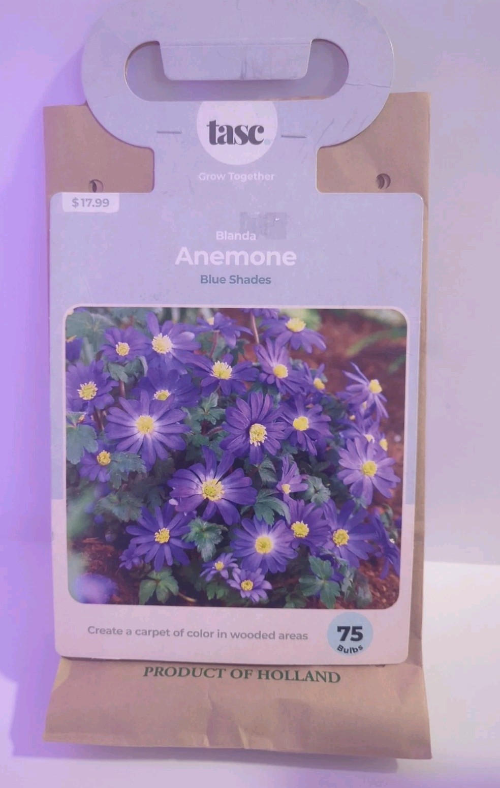 Easy to Grow Anemone Blanda Mixed Plant Bulbs Spring Blooming Flowers Blue