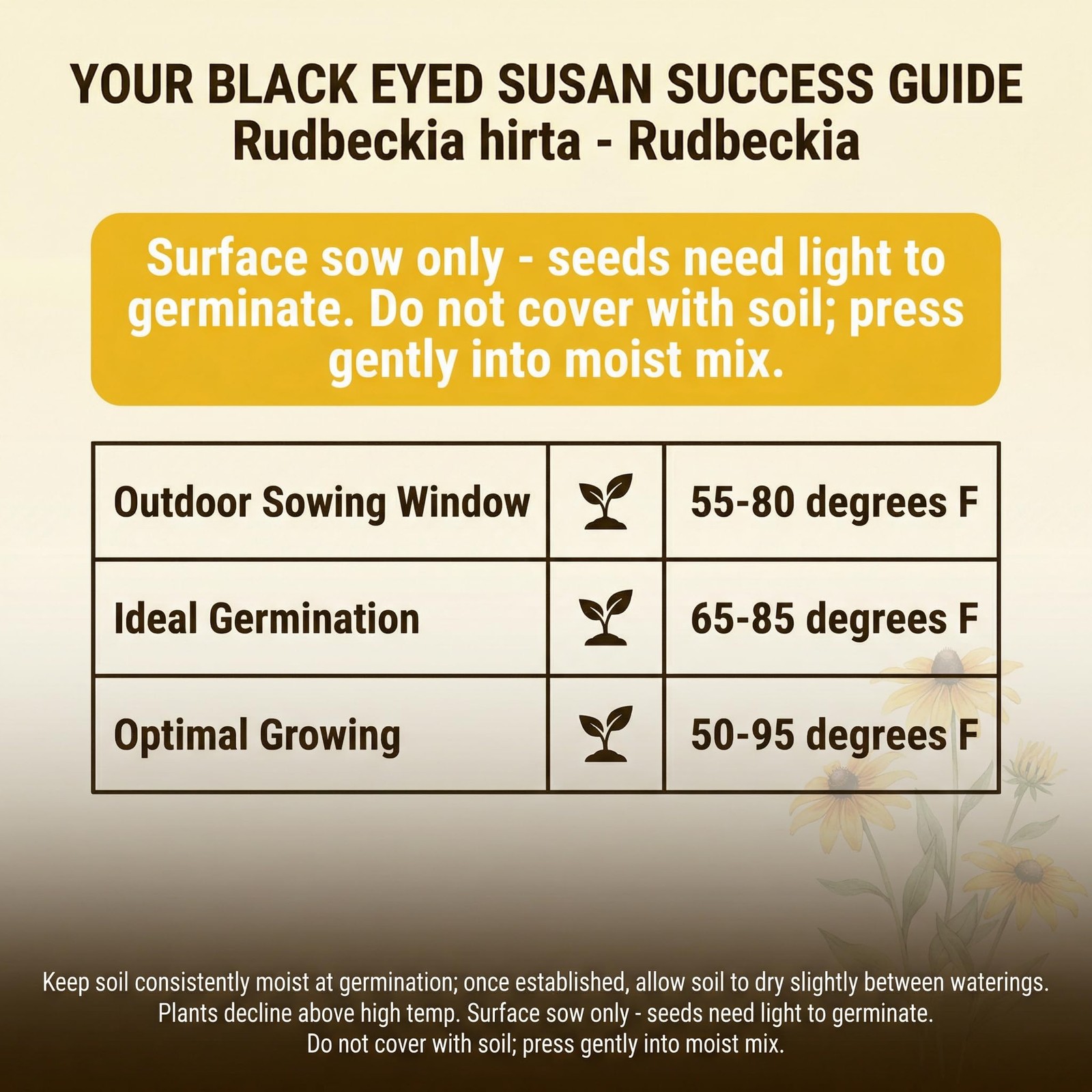 5000 Black Eyed Susan Flower Seeds for Planting – Rudbeckia hirta Native Wild…