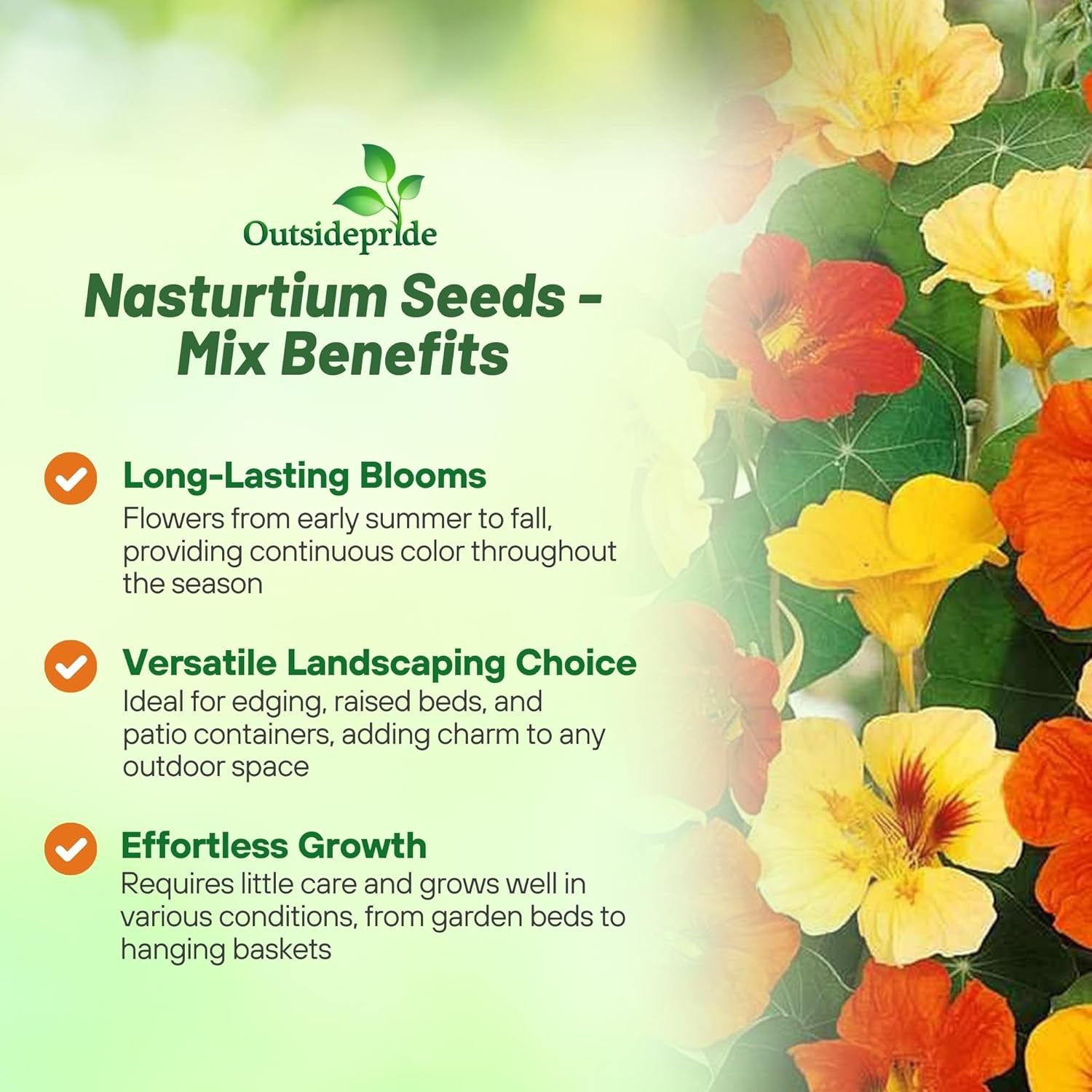 5 LB Nasturtium Seed Mix For Planting – Jewel Mix Flower Seeds