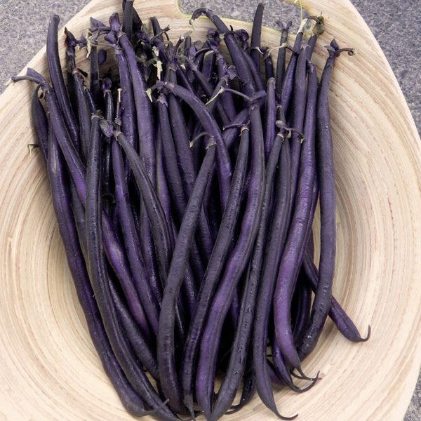 Purple Podded French Filet Pole Bean Seeds (25) / EASY / SUPER RARE / EASY