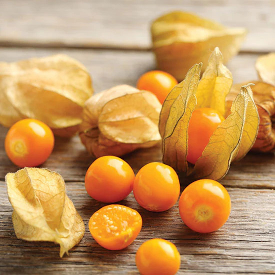 Strawberry Ground Cherry Seeds | Physalis Pruinosa Gooseberry Asian Seeds 2024