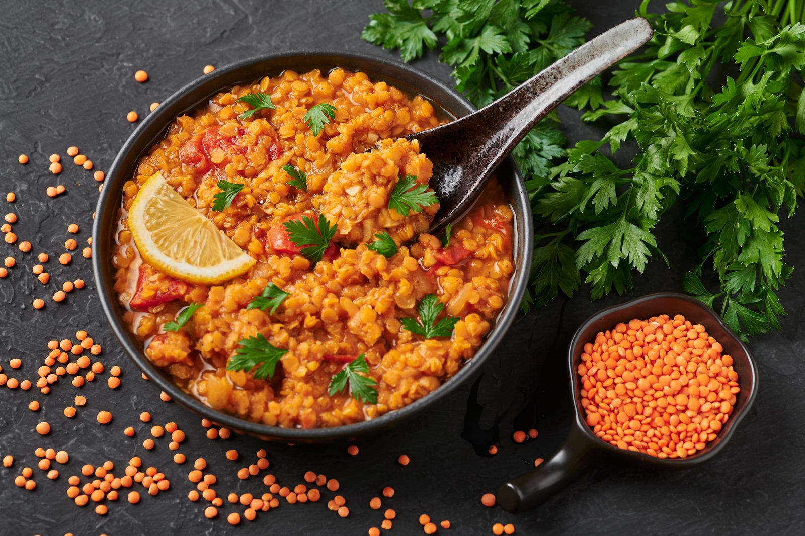 100 RED LENTIL Lens Culinaris Vegetable Seeds *Combined Shipping
