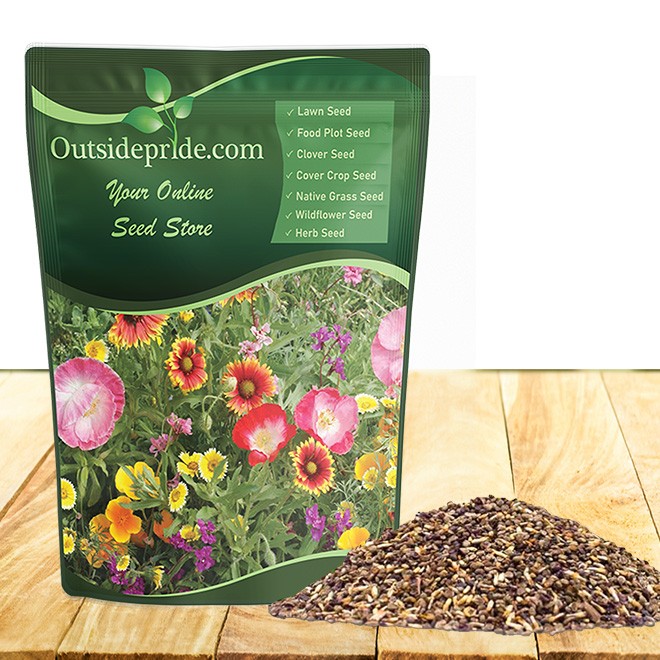 1 LB California wild flower seed from Outsidepride.