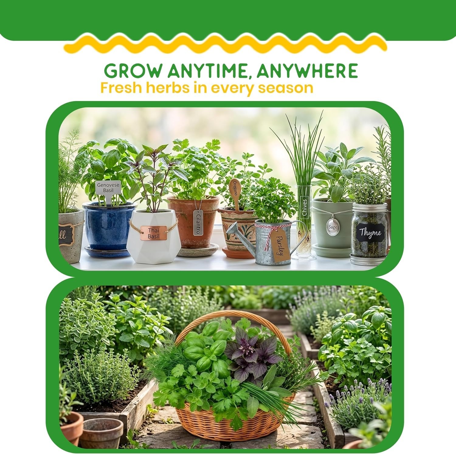 10-Piece Heirloom Herb Seeds Pack: Perfect for -Round Indoor Cooking Delight