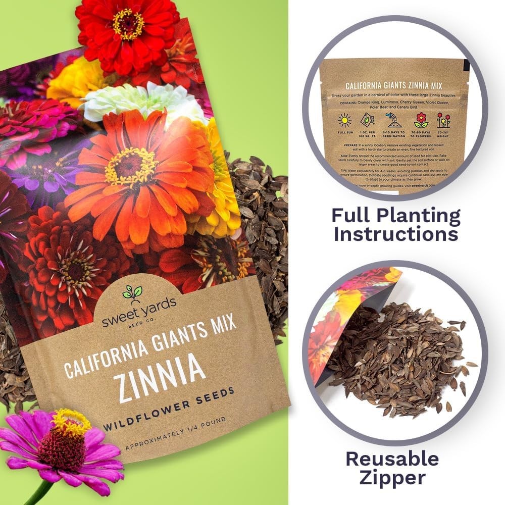 Bulk Zinnia Seeds – California Giants Mix – Bulk 1/4 Pound Bag Over 12,000 Fl…