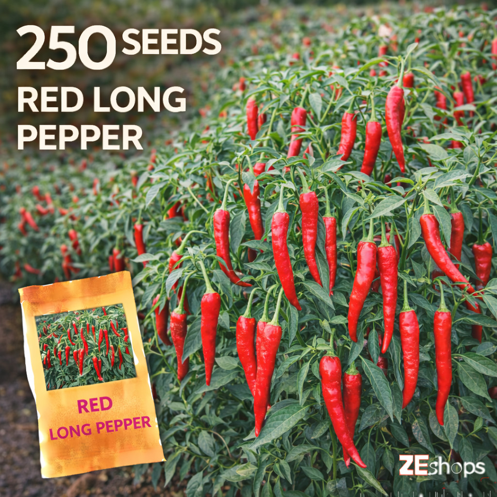 250 Red Long Pepper Seeds – Productive Heirloom Hot Chili Variety
