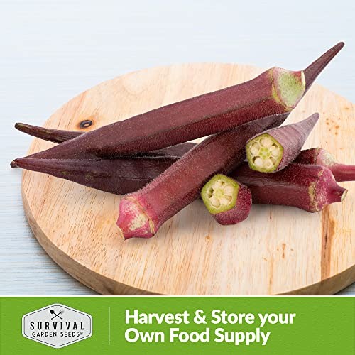 – Red Burgundy Okra Seed for Planting – Packs with Instructions to Plant and 2