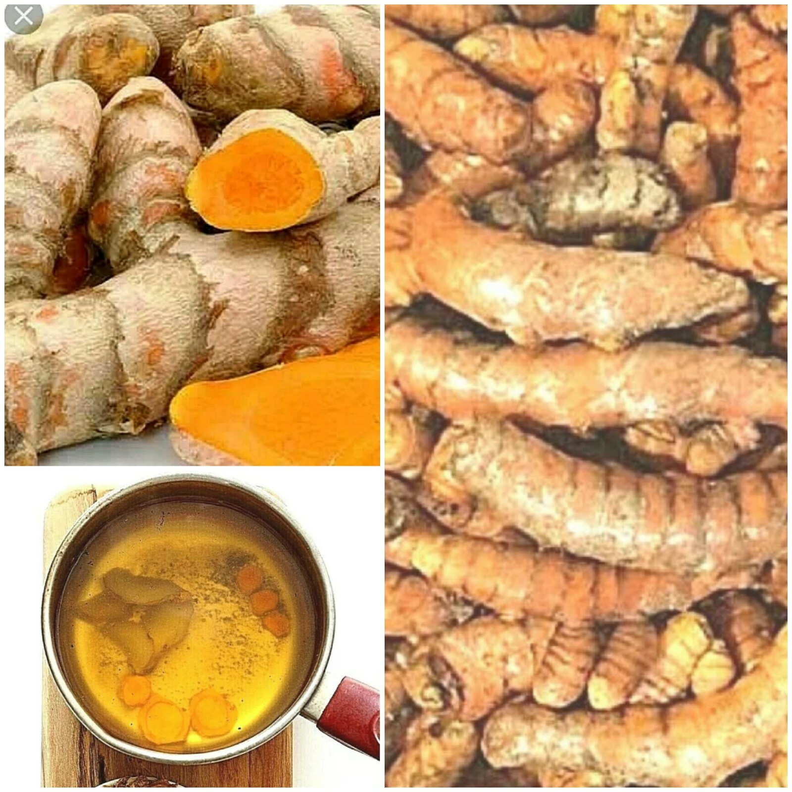 Organic Turmeric Roots Curcuma Longa for Tea, Spices, Seasoning, Healthy