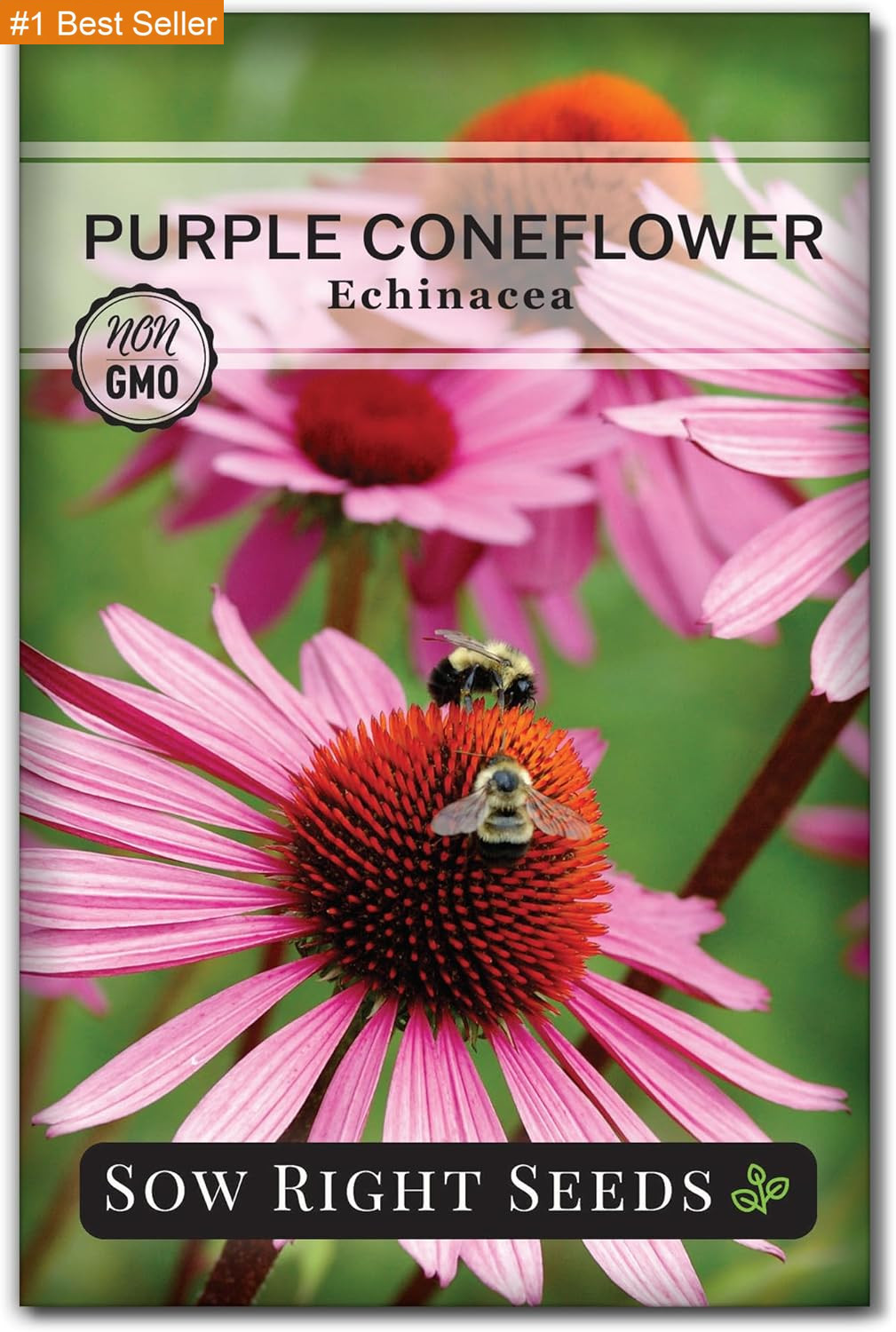 Sow Right Seeds – Purple Coneflower/Echinacea Flower Seeds for Planting – Non-Gm