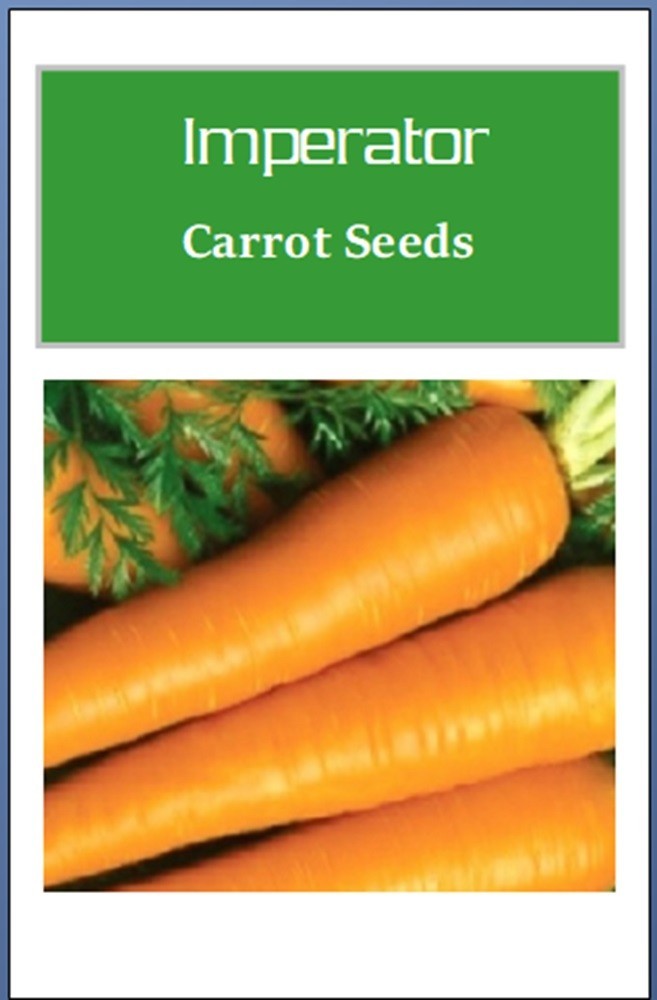 Imperator Carrot Seeds | NON-GMO | Heirloom | Fresh Garden Seeds