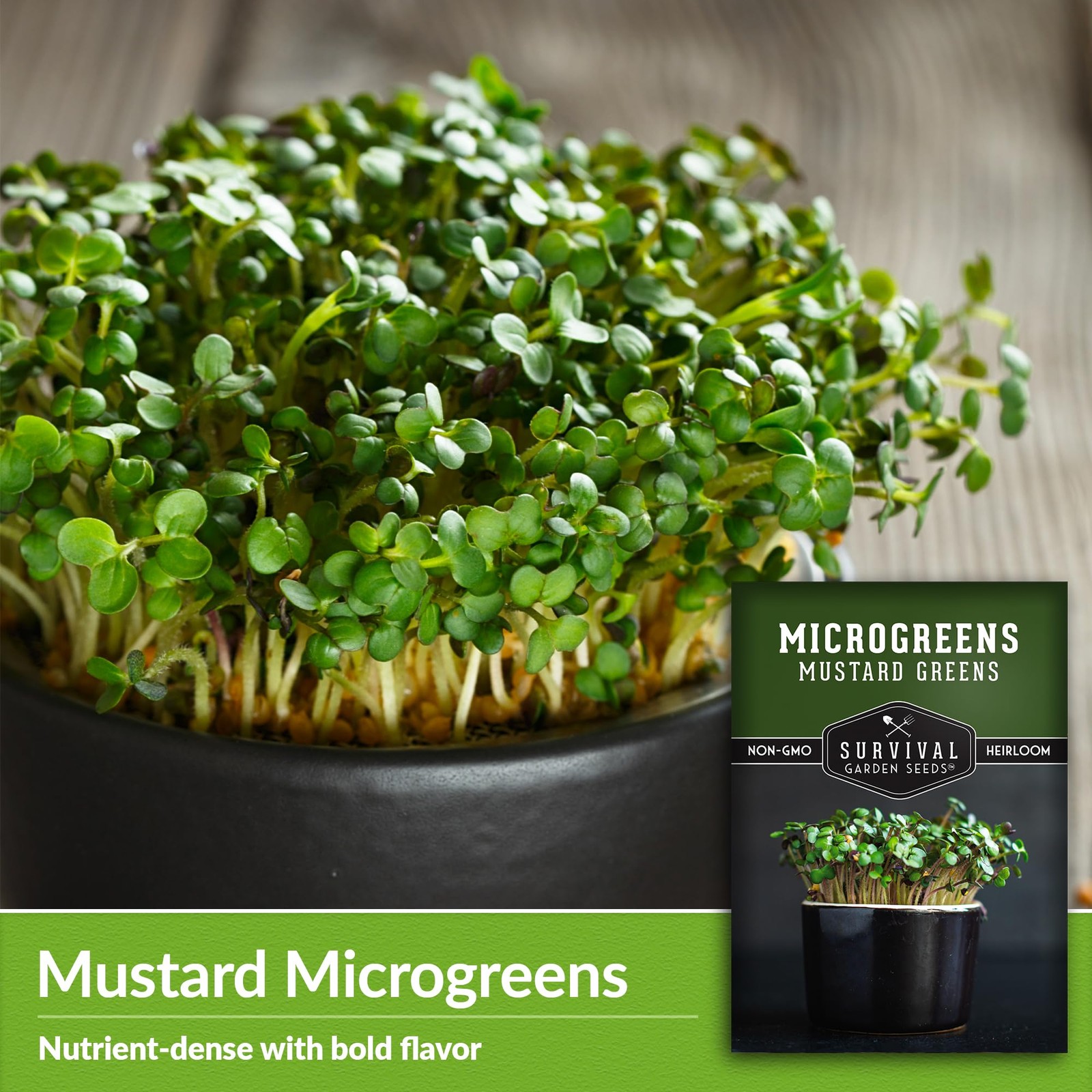 Mustard Microgreen Seeds for Sprouting – Spicy Mustard Greens for Flavorful M…