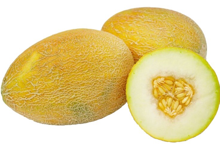 20 Ananas Melon Seeds
