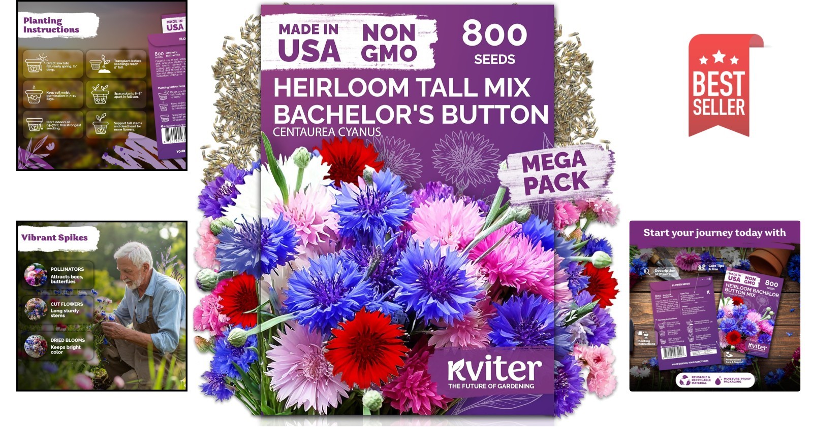 Summer-Blooming Cornflower Seeds – 800 Mixed Bachelor Buttons for Any Garden