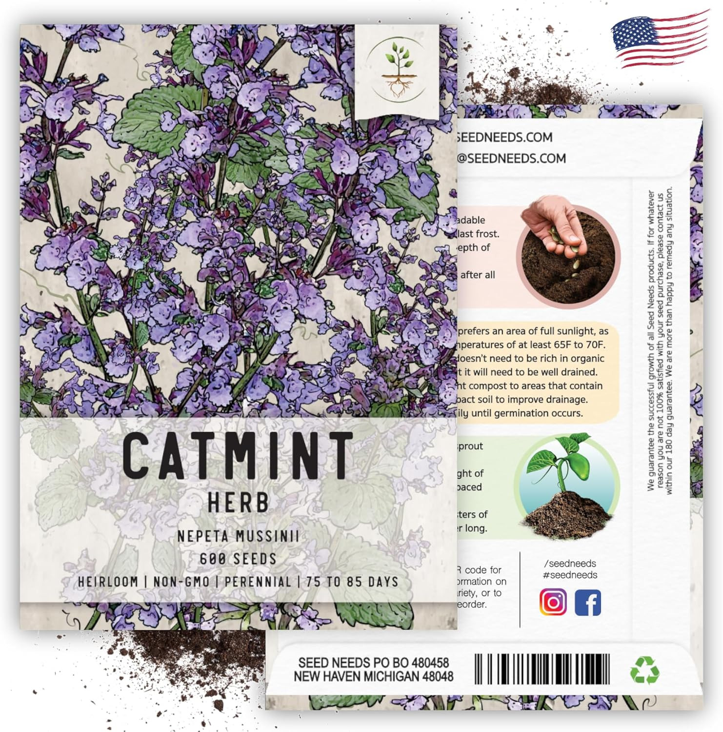 Catmint Seeds for Cats – 600 Heirloom Seeds for Planting Nepeta Mussinii – Peren