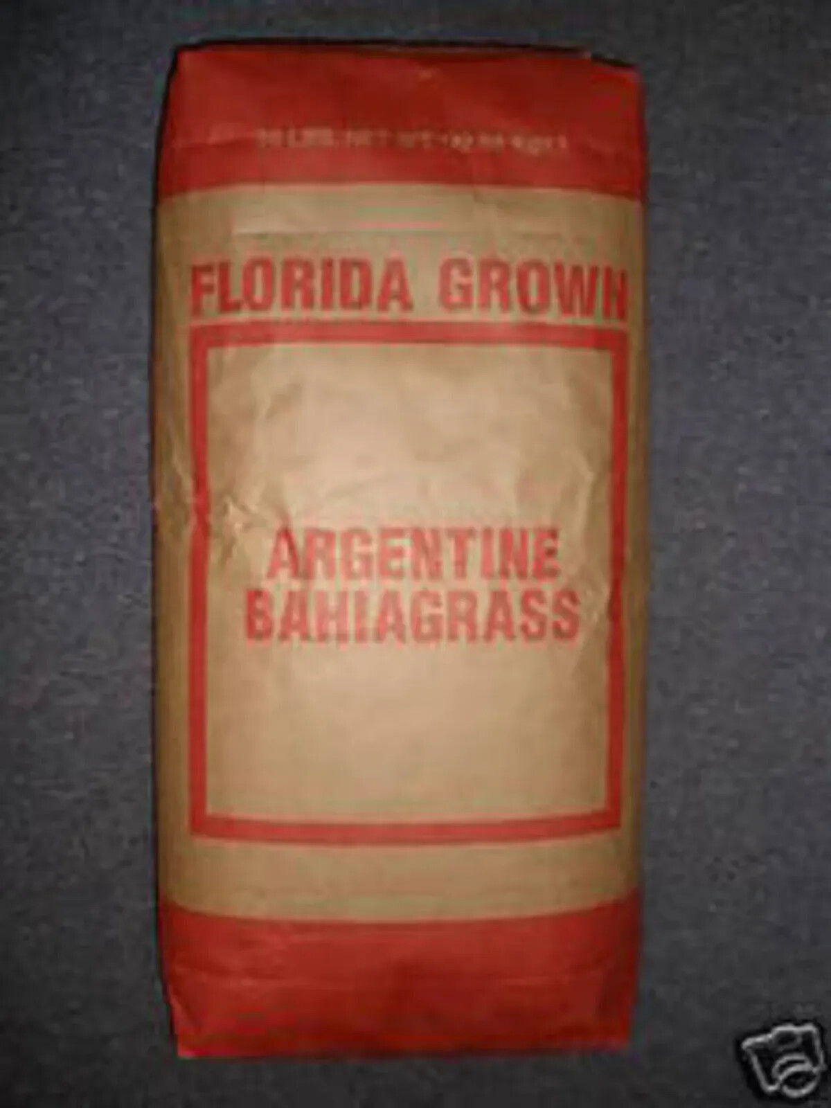 Argentine Bahia Pasture Grass