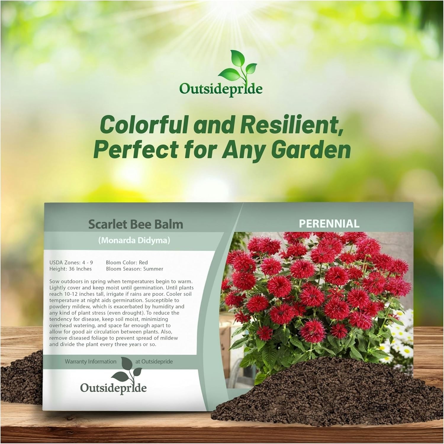 500 Seeds Red Monarda Flower Seeds For Planting | Scarlet Bee Balm Seed
