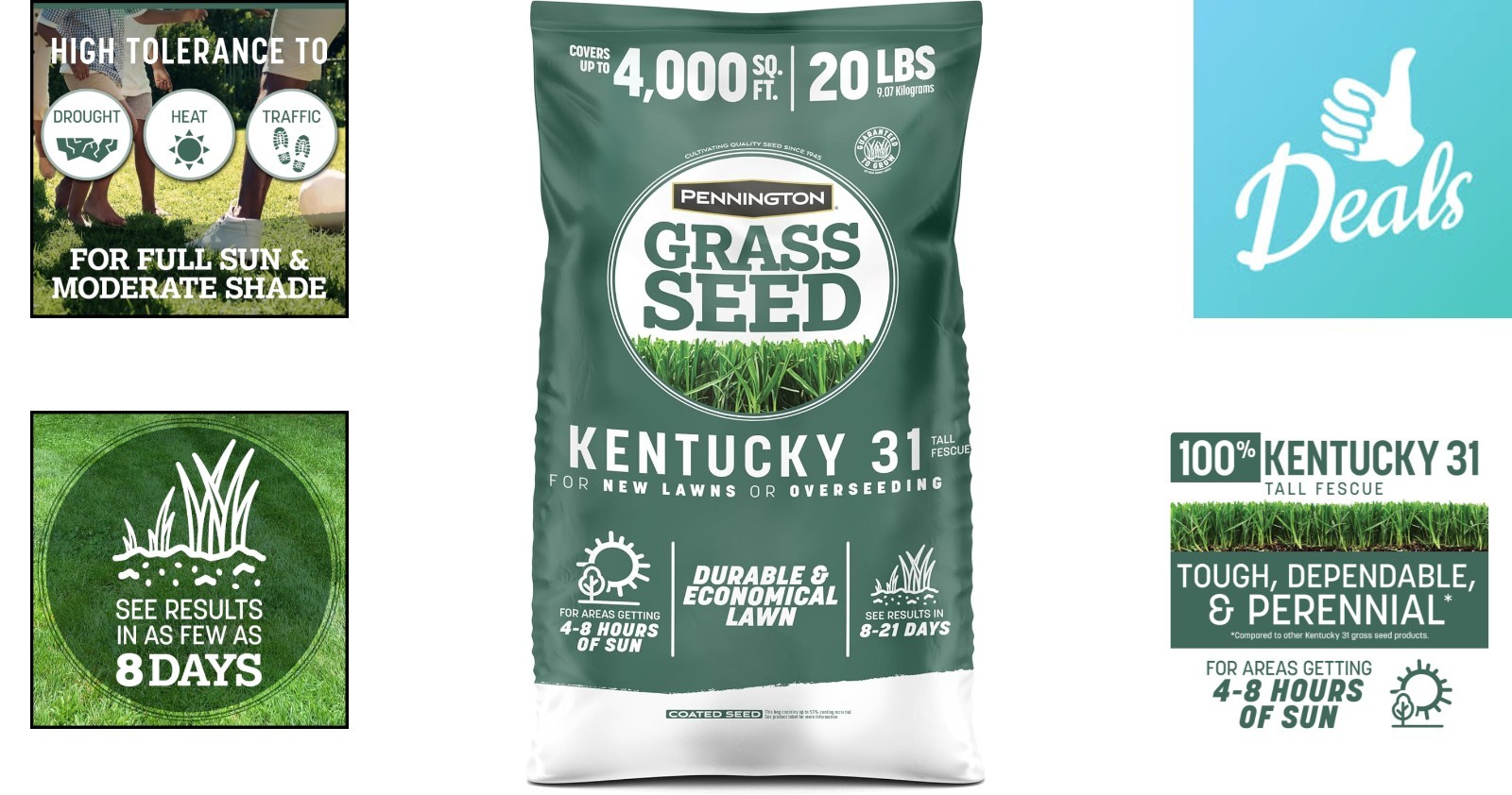 Pennington Kentucky 31 Tall Fescue Grass Seed 20 lb – Drought-Resistant Turf