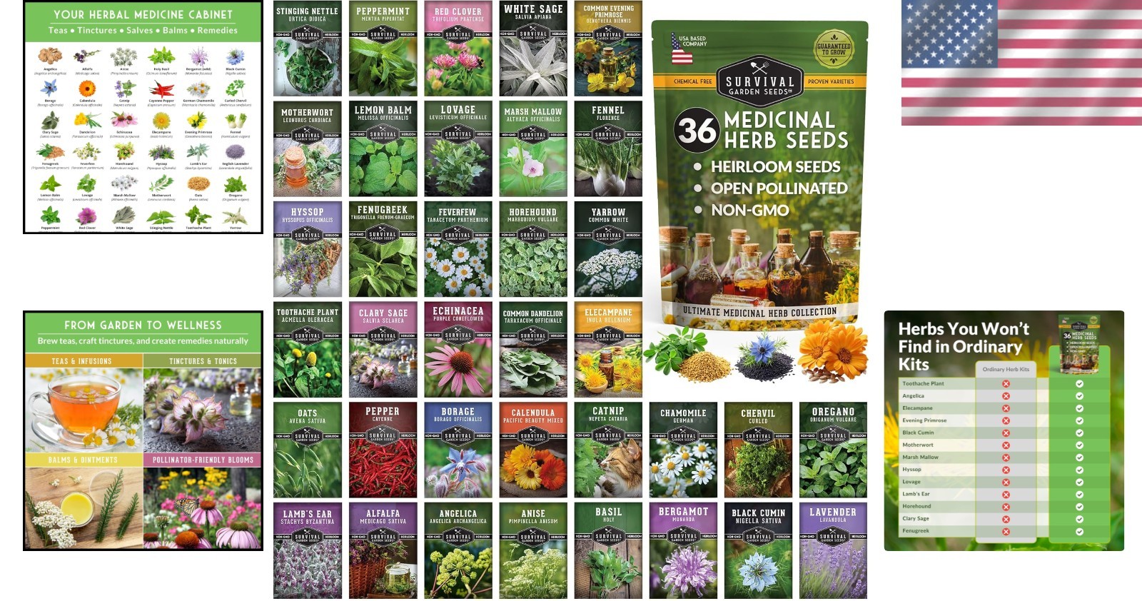 Rare Herbalist Plant Variety Seeds