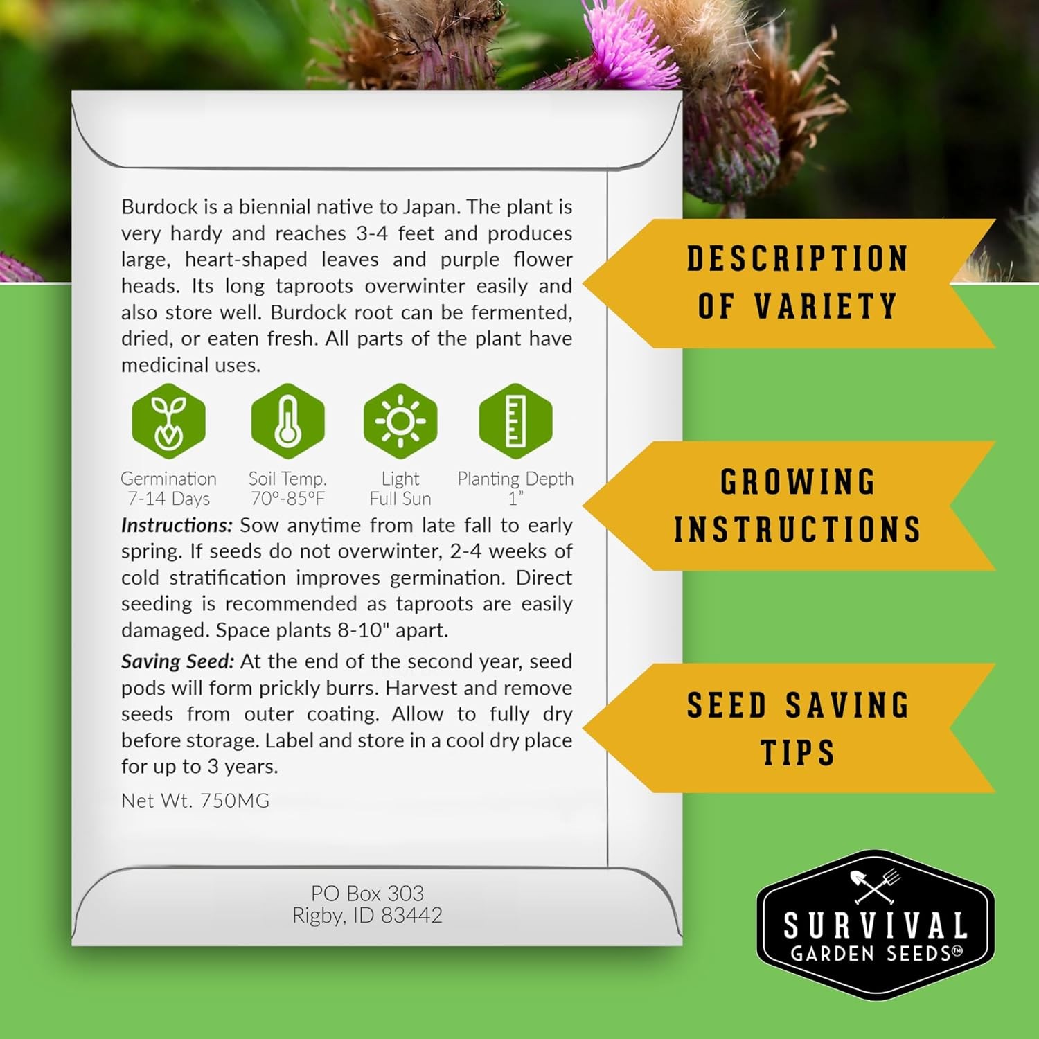 Advanced Medicinal Herb Seeds Collection – Variety Pack for Planting with Planta