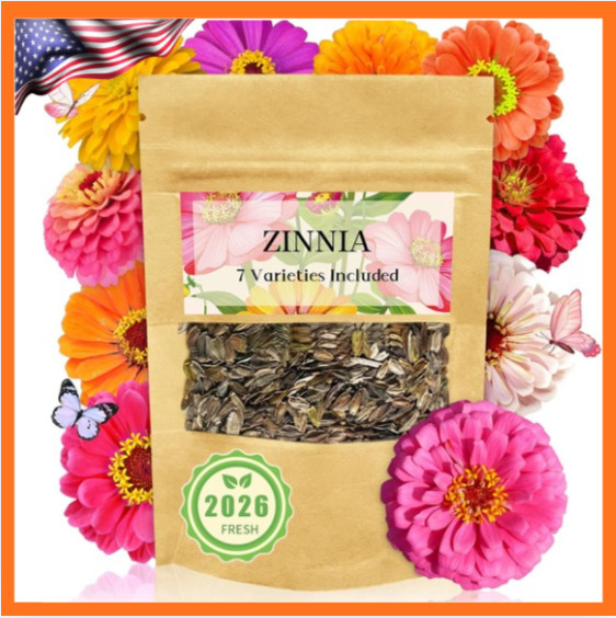 Zinnia Seeds Bulk 5,000 plus Outdoor Flower for Planting Giant Zinnia Seeds for