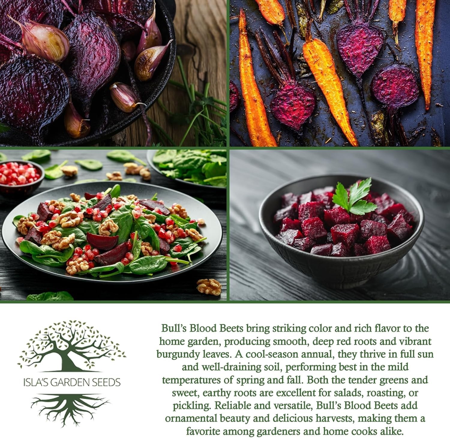 Deep Red Bull’s Blood Beet Seeds – 100+ Perfect for Healthy Salads & Microgreens