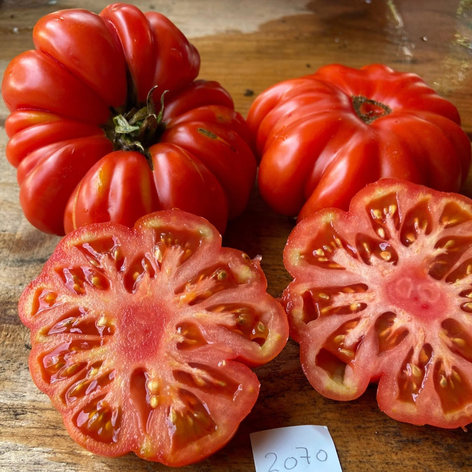 120+ Costoluto Genovese Tomato Seeds — Italian Ribbed —- Heirloom