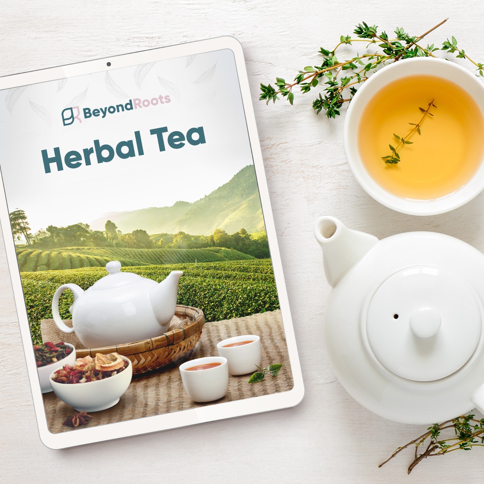 Herbal Tea Seed Variety Set 9 Heirloom Medicinal Plants Edible Flowers Chamomile