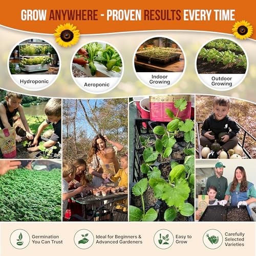 25 Non-GMO Heirloom Vegetable & Fruit Seeds Variety Pack for Home Gardening – 1,