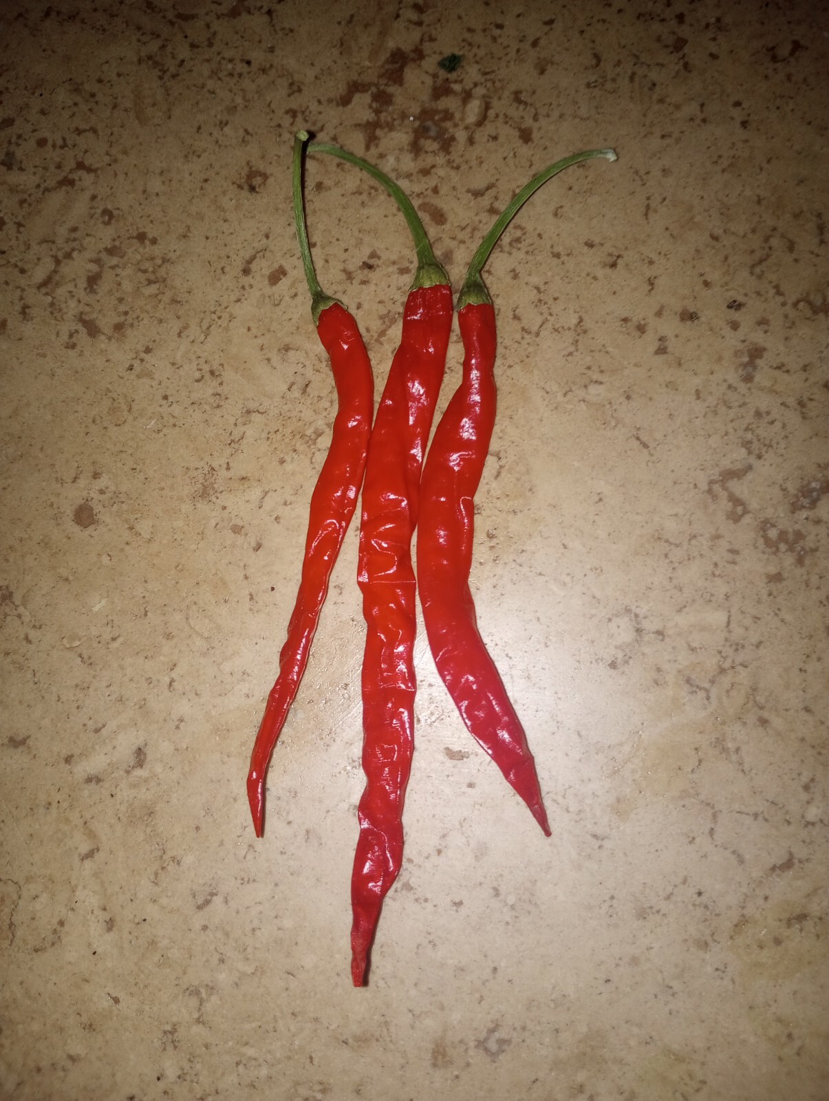 Cayenne Long THIN 15 seeds 2023 Season Fresh Batch Heirloom Variety Nice Heat