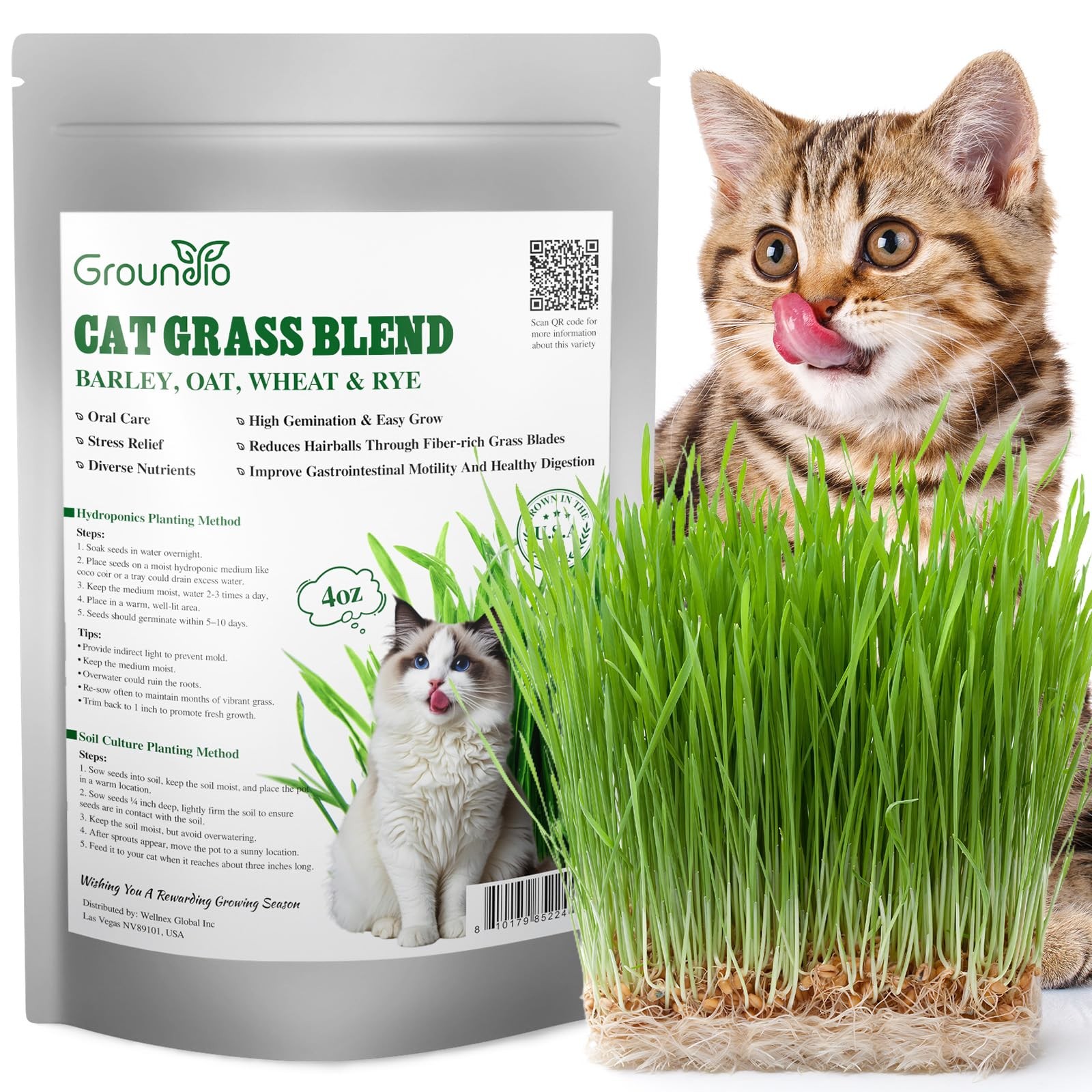 Cat Grass Seeds, Barley, Oats, Wheat, Rye 4 Varieties, Non-GMO Grow in 4-7 Days