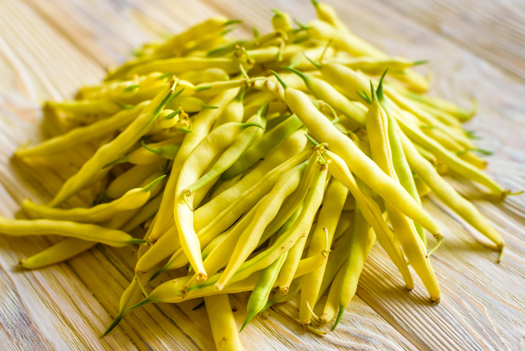 Golden Yellow Wax Bean Seeds | USA Vegetable String Green Butter Pod Seed 2024