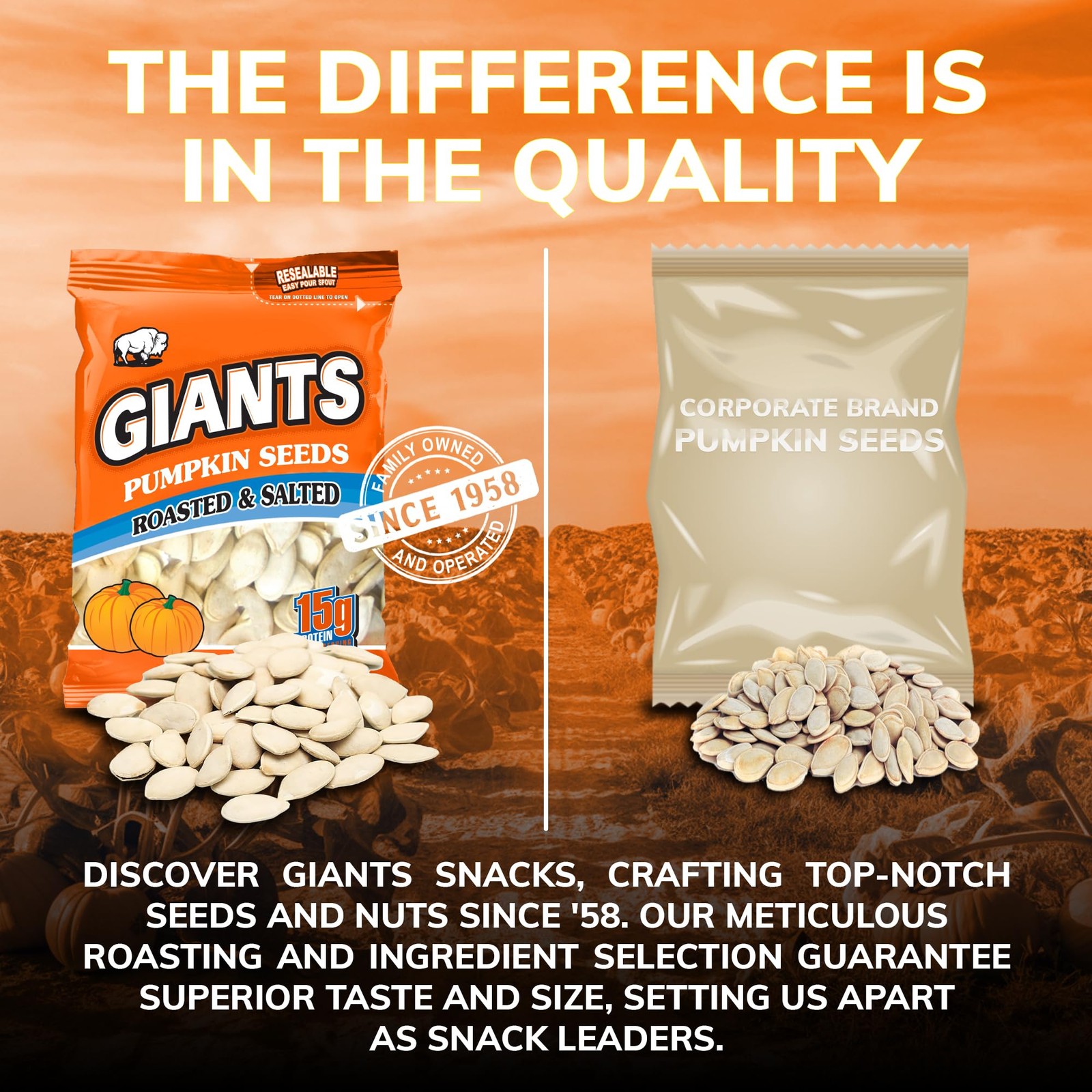 GIANTS Pumpkin Seeds – Pumpkin Seeds in Shell, Pumpkin Seeds to Eat, Roasted …