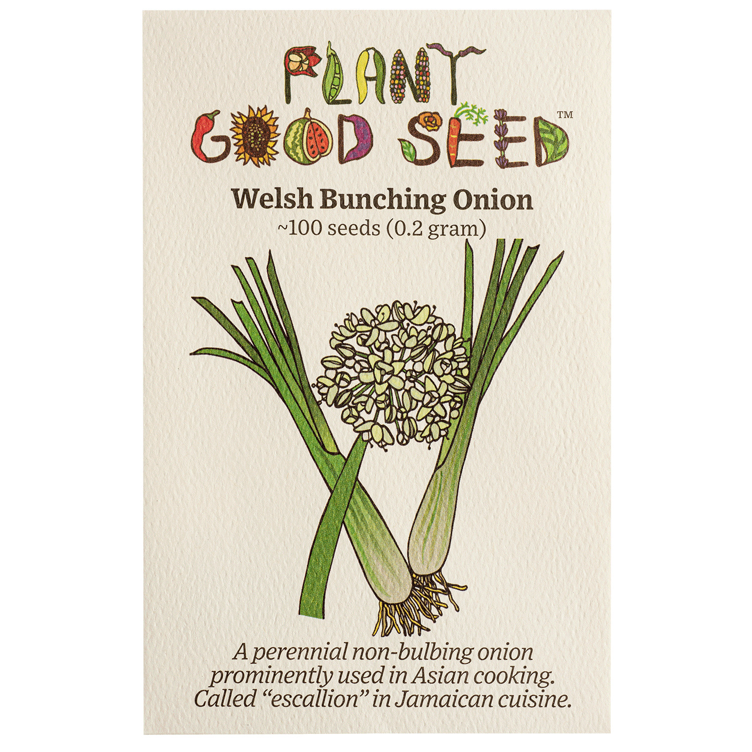 Welsh Bunching Onion Seeds