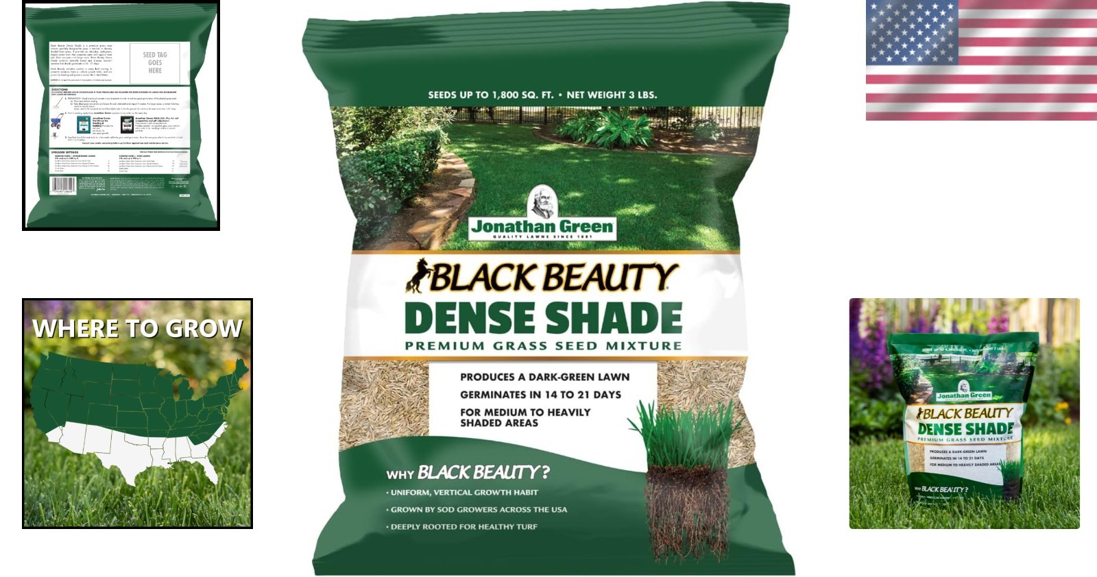 Cool Season Grass Seed Mix – 4 Types for Balanced Growth in Partial Sun